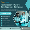 healthcare software development ()