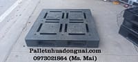 pallet nhua cu hau giang ()