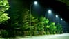 den duong led