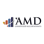 AMD AUDIT