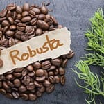 Arabica Hay Robusta - Hương Vị Nào Đáng Để Thử? ☕️
