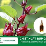 Nguyên liệu mỹ phẩm chiết xuất bụp giấm Biogreen