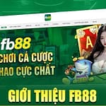 Esports FB88 tham gia cá cược thể thao điện tử hàng đầu Việt Nam