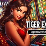 Get a Free Demo ID on Tiger Exchange Betting Platform