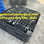 Bán pallet nhựa tại Bình Phước, liên hệ 0973021864 (24/7)