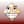 Avatar of Hazel Smith