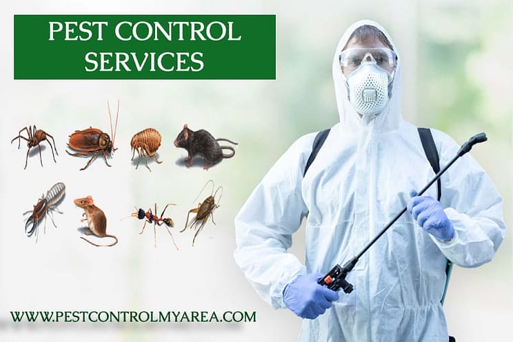 Pest Control Service