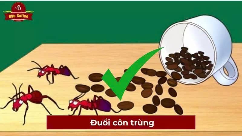 ba ca phe co tac dung gi