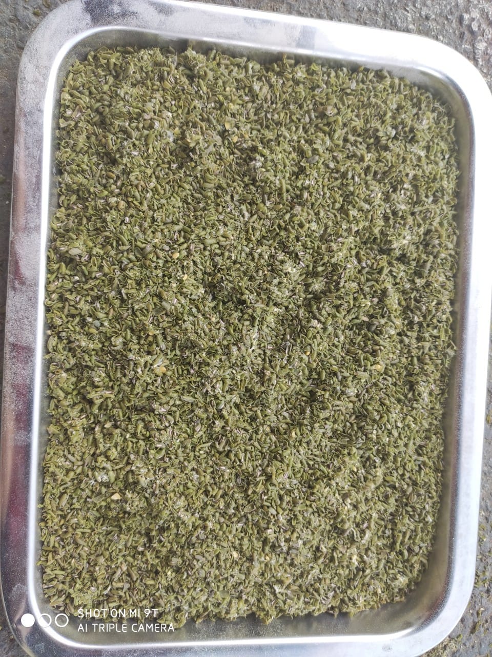 vỏ đậu xanh